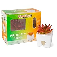 Fruit Fly Trap with Zendo Lure, Tranquil Tabitha with Plastic Terra Cotta Colored Base, Refillable and Reusable