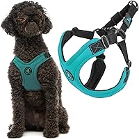 Gooby Escape Free Sport Harness - Turquoise, Large - No Choke Step-in Patented Neoprene Small Dog Harness, Four-Point Adjustment - Perfect on The Go Dog Harness for Medium Dogs No Pull and Small Dogs