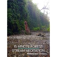 15 Minute Forest Stream Meditation
