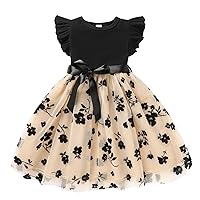 Toddler Girl Tulle Dress Summer Ruffle Sleeveless Baby Girl Fashion Casual Dresses 2-6Y
