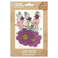14 Pressed Flowers - Purple Meadow
