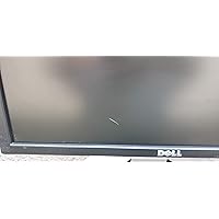 Dell 19