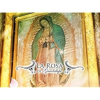 La Rosa de Guadalupe season-2019