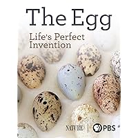 The Egg: Life's Perfect Invention