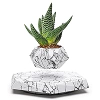 Plant Pot for Succulents, air Bonsai & air Plants. Planter for Home, Office & Desk Decor. Magnetic Floating Levitating Display. (Marble)