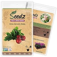 Organic Radish Seeds, APPR. 550, Radish Planting Seeds, Heirloom Vegetable Seeds, Certified Organic, Non GMO, Non Hybrid, USA