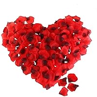 BinaryABC Artificial Silk Rose Petals,Valentine's Day Decorations, Romantic Flower Decor Wedding 1000Pcs(Dark Red)