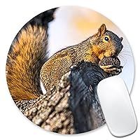 Mouse Pad A Cute Squirrel is Eating The Nuts in The Tree Round Mousepad