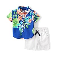 The Children's Place baby-boys And Newborn Short Sleeve Button Down Shirt and Shorts 2 Piece Set