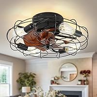 Small Mid-Century Caged Ceiling Fan with Lights and Remote, 20