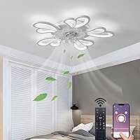 Becailyer Modern Ceiling Fan with Lights, Dimmable 3 Color Temperature 6 Speed LED Fan Light with Remote Control, 50W 24.4in Ultra Quiet Flush Mount Ceiling Fans for Bedroom Living Room Dining Room