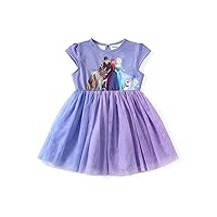 Disney Frozen Elsa Dress for Girls Tutu Dresses for Toddler Girls Tulle Toddler Dress Casual Toddler Princess Dress