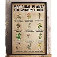 Jigsaw Puzzles for Adults Medicinal Plants Grow at Home Medicinal Plants Knowledge 300 Pieces Wooden Jigsaw Puzzle for Adults and Kids Educational Puzzle Decorations Gift