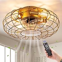 Ceiling Fan with Lights, 16 Inch Caged Ceiling Fan Lights Remote Control Small Industrial Ceiling Fan Light Fixture Flush Mount Farmhouse Light 6 Speeds Bladeless Lights for Bedroom Kitchen