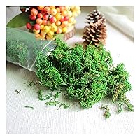 50g Artificial Fake Moss Preserved Simulation Green Plants Floral Moss Greenery Moss Filler Micro Landscape Accessories for Potted Plants, Floral Project, Terrariums, Home Wedding Decor