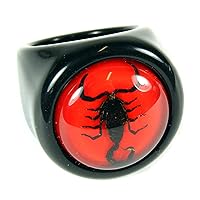 Black Scorpion Black Ring Red Background Size 6