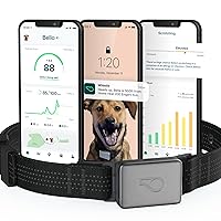 Whistle GPS + Health + Fitness - Smart Dog Collar, Waterproof Dog GPS Tracker Plus Health & Fitness Monitor, 24/7 Pet Tracker, 2 Rechargeable Batteries, Switch (Newest Model), (Black), S/M