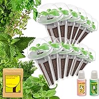 inbloom Herb Seed Pod Kits for AeroGarden, idoo, Ahopegarden Hydroponics, Indoor Garden, 350+ Seeds Included Basil, Parsley, Shiso, Liquorice, Mint, Cilantro, Chicory, 12-pods