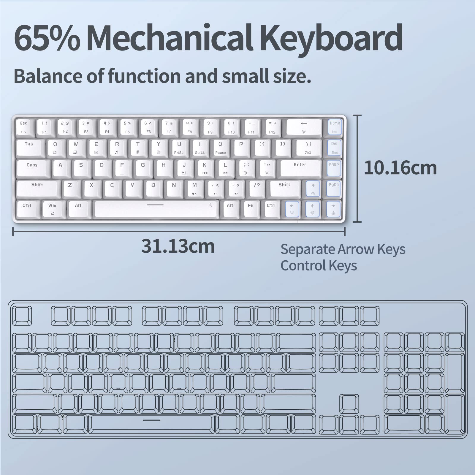 TMKB 60 Percent Keyboard,Gaming Keyboard 60 Percent, LED Backlit Ultra-Compact 68 Keys 60 Percent Mechanical Keyboard with Separate Arrow/Control Keys, T68SE, Blue Switch