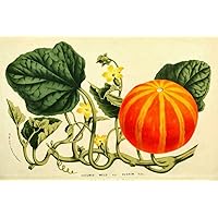 Thanksgiving Placemats Thanksgiving Table Decor Pumpkin Decor Table Setting Fall Decor Thanksgiving Placemats Paper Placemats Pak 50