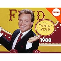 Family Feud with Ray Combs
