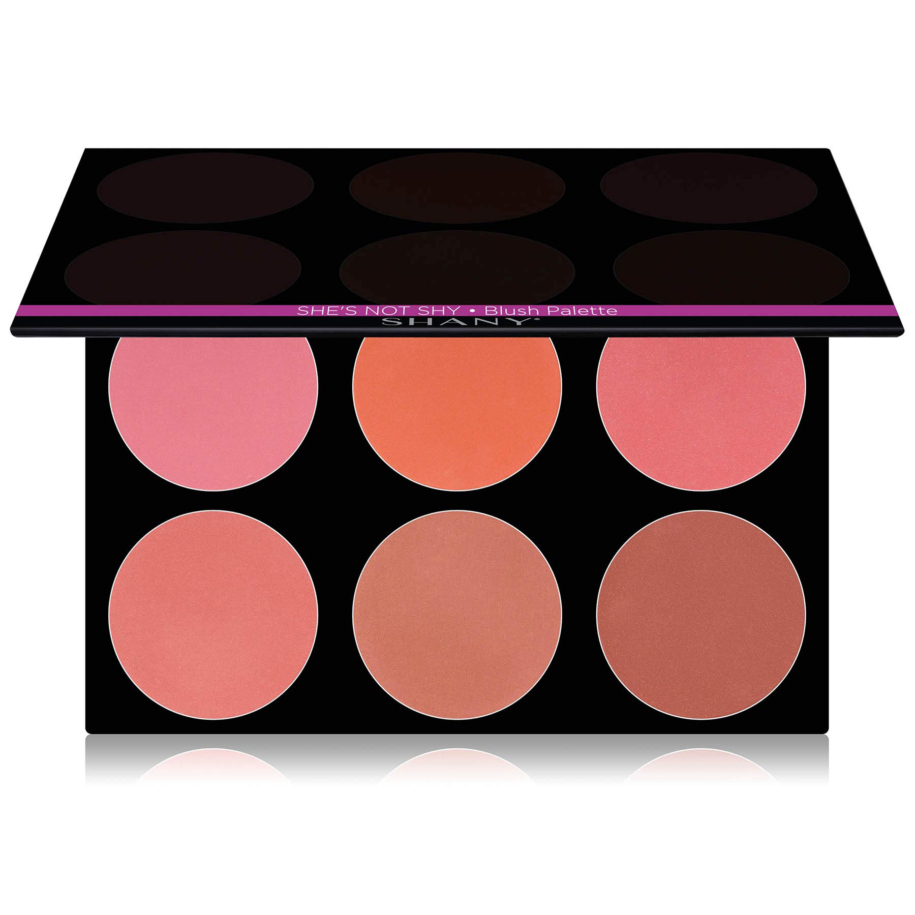 SHANY Masterpiece 6 Colors Large Blush Palette/Refill - SHE'S NOT SHY