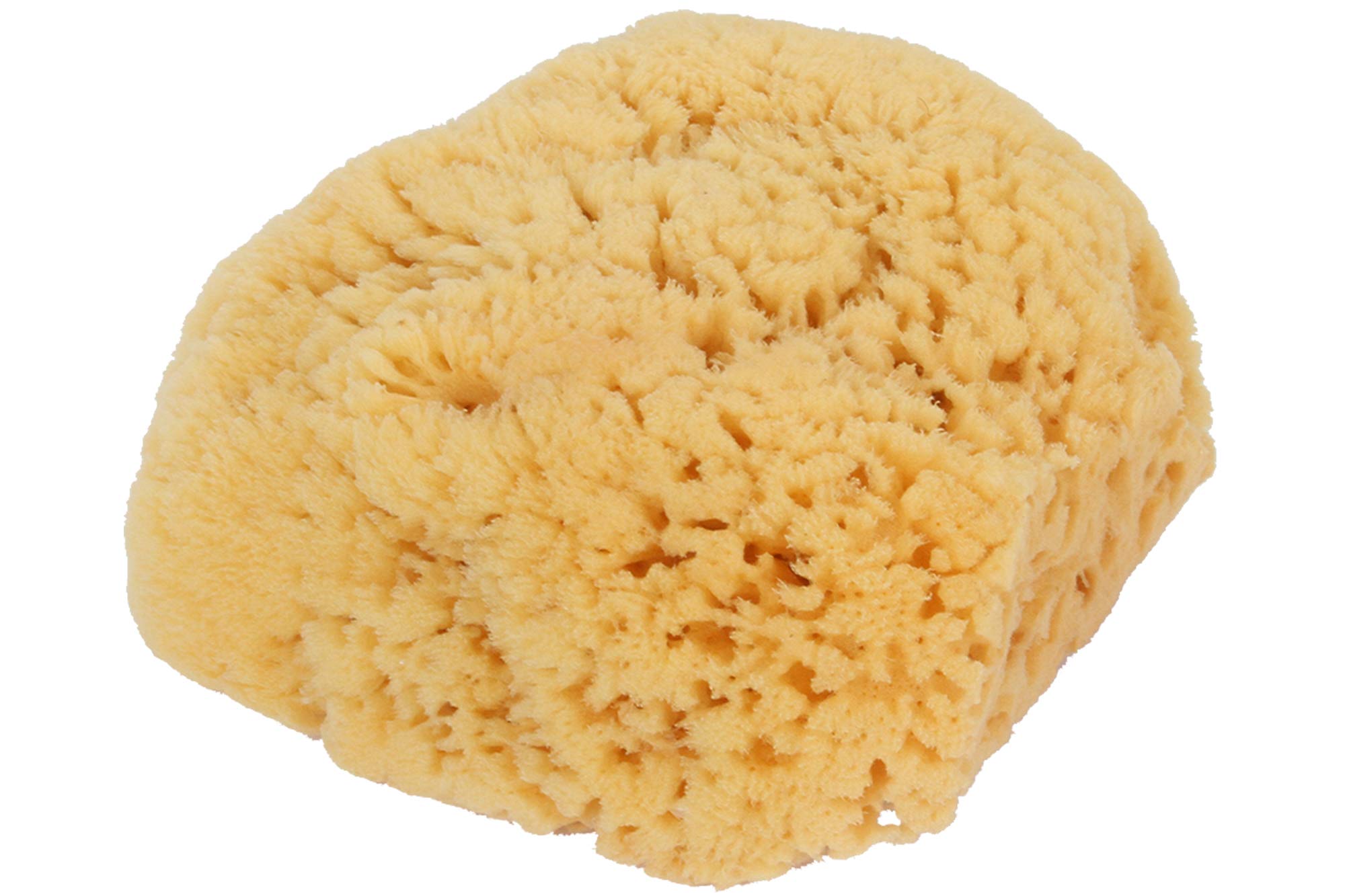 Bass Brushes Large Natural Bath Sponge Shower, 1 EA