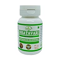 Natural and Pure Herbal Asparagus RACEMOSUS (Shatavari) Extract Capsules | Highest Potency, 100% Herbal Product | Pack of 60 X 500 mg. Veg. Capsules (Pack of 1 Jar)