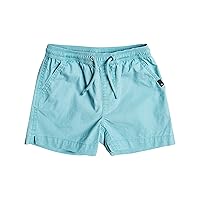 Quiksilver Taxer Walk Elastic Waist Short Boy