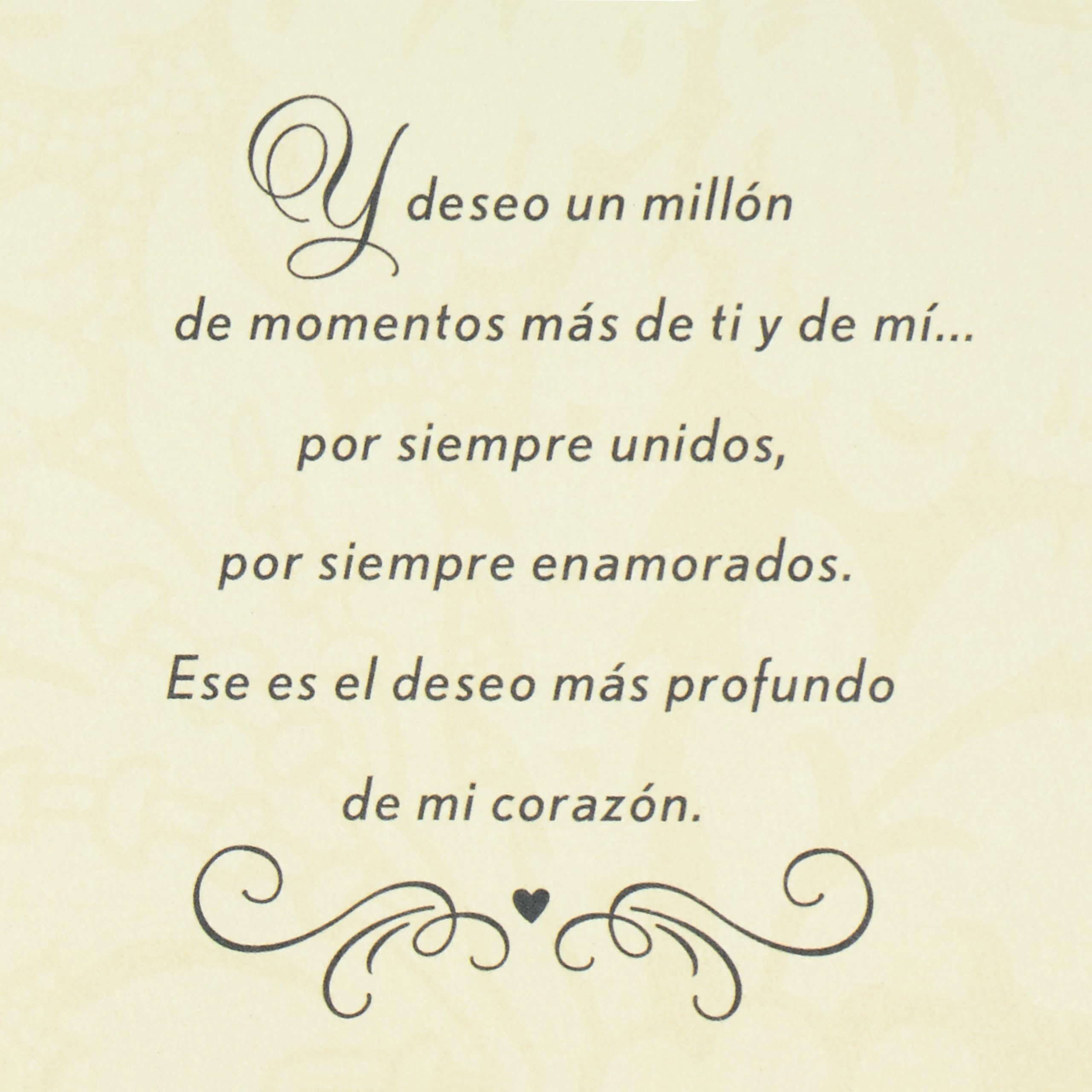 Hallmark Vida Spanish Anniversary Card (En Nuestro Aniversario) for Husband, Wife, Esposo, Esposa
