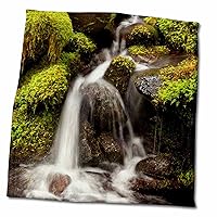 3dRose Washington State, Olympic National Park, Creek in Sol Duc Valley - Towels (twl-251499-3)