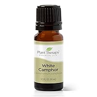 Plant Therapy White Camphor Essential Oil 10 mL (1/3 oz) 100% Pure, Undiluted, Therapeutic Grade