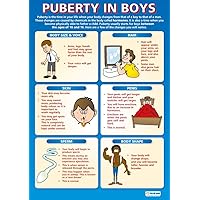 Daydream Education Puberty in Boys | PSHE Posters | Gloss Paper measuring 33” x 23.5” | PSE Classroom Posters | Education Charts