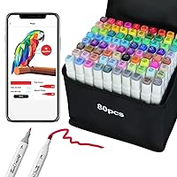 MMFB Alcohol Markers, Dual Tips Permanent Art Markers - 1MM Fine and 6MM  Chisel Tips Pens - Kid Adult Coloring Book Drawing Planner Calendar  Projects