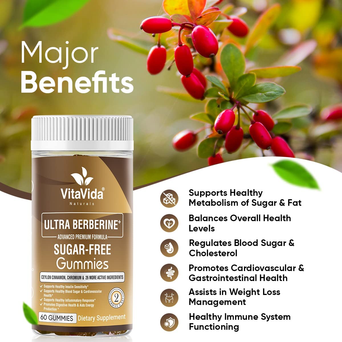 VVNATURALS Sugar-Free 2250mg Extra Strength Berberine with Ceylon Cinnamon HCI 82.1 Concentrated 97% Highly Purified &10x Bioavailable W/Bitter Melon & More |Glucose Metabolism, Weight Management|60Ct