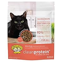 Cleanprotein Salmon Formula Dry Cat Food, 6.6 Lb