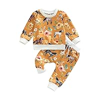 Mandizy Baby Girl Clothes Set Fall 3 6 9 12 18 24 Months Long Sleeve Sweatshirt & Floral Print Pants & Headband Outfits