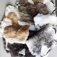 Assorted Bulk Grade Natural Rabbit Pelt with Fur (10