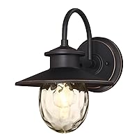 Westinghouse 6313100 Delmont One-Light Outdoor Wall Fixture, Oil Rubbed Bronze Finish with Highlights and Clear Water Glass