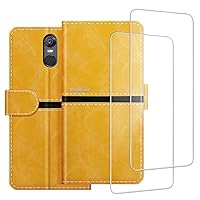 Phone Case Compatible with Tecno Pouvoir 2 + [2 Pack] Screen Protector Glass Film, Premium Leather Magnetic Protective Case Cover for Tecno Pouvoir 2 Pro (6 inches) Gold