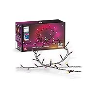 Philips Hue Indoor/Outdoor Holiday 65-Foot Festavia String Lights - 250 Mini Color Changing Smart LEDs - Weatherproof - Control with Hue App - Works with Alexa, Google Assistant and Apple HomeKit