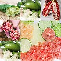 QAUZUY GARDEN 20 Seeds New Mixed Finger Lime Seeds Green Red Pink Non-GMO Caviar Lime Fruit Seeds- Delicious Nutritious Fruit - Easy to Grow & Harvest