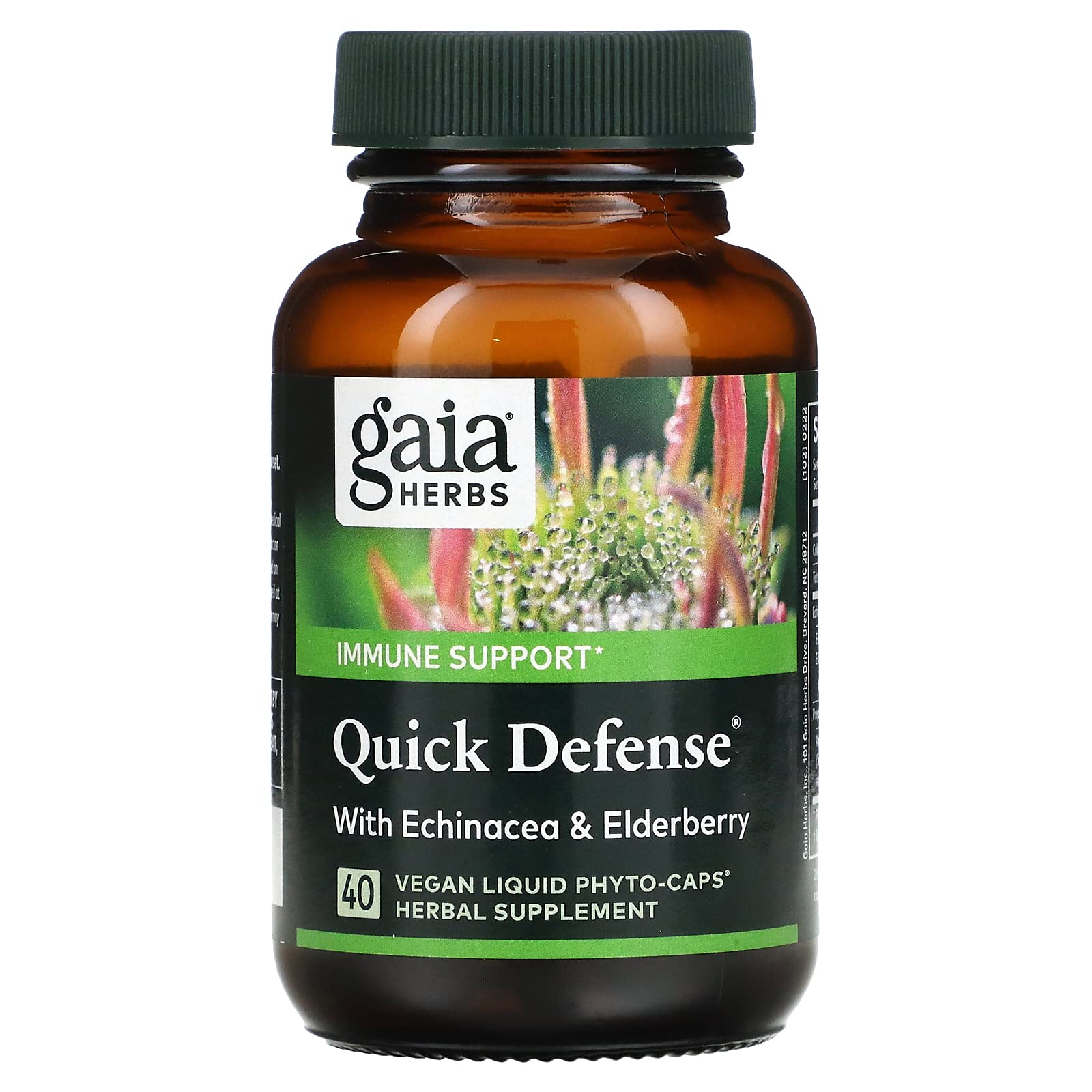 Gaia Herbs Pro Immune Activator - Immune Support Supplement with Elderberry & Ginger - Herbal Supplement & Andrographis Capsules to Aid Immune System & Natural Health Response - 40 Liquid Phyto-Caps
