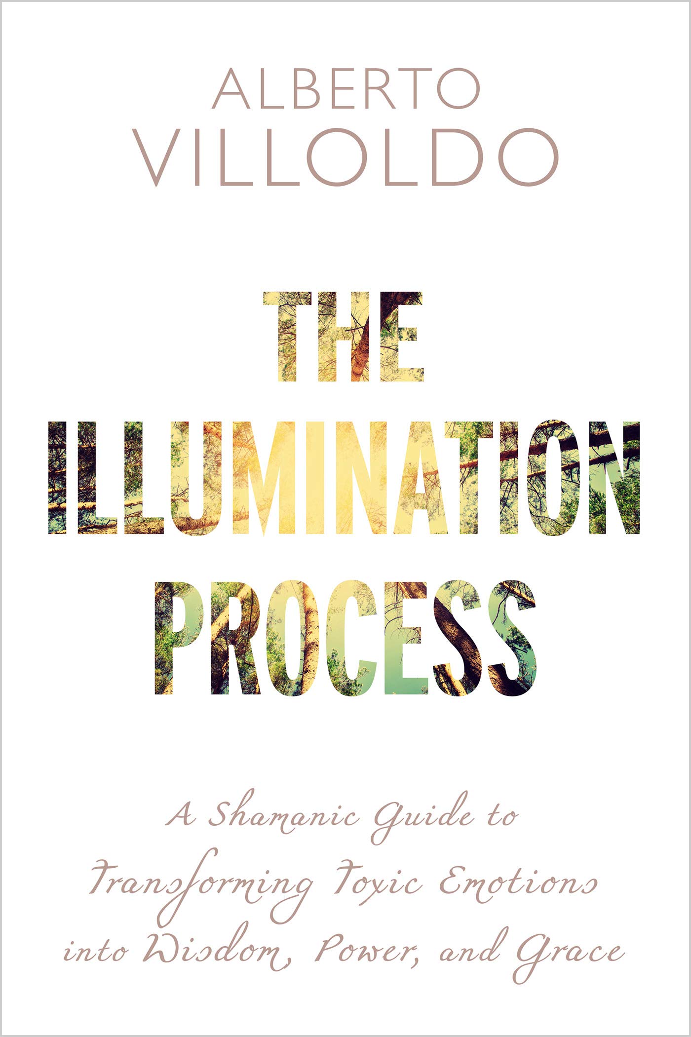 The Illumination Process: A Shamanic Guide to Transforming Toxic Emotions into Wisdom, Power, and Grace