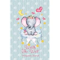 Worth the Wait: Pregnancy Journal. Baby Girl Elephant, Sweet Dreams Green Snowflakes