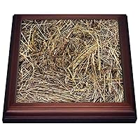 3dRose Pattern of a Natural hay. Dry Grass to Feed Cattle in Cold Winter - Trivets (trv_327935_1)