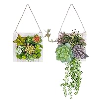 Hanging Wall Artificial Plants for Home Decor Indoor Set of 2 Succulents Plants Artificial in Wooden Frame 3D Greenery Wall Art Decor Faux Plants for Living Room Nursery Backdrop