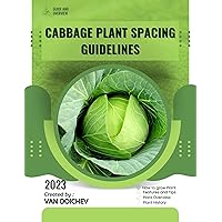 Cabbage Plant Spacing Guidelines: Guide and overview