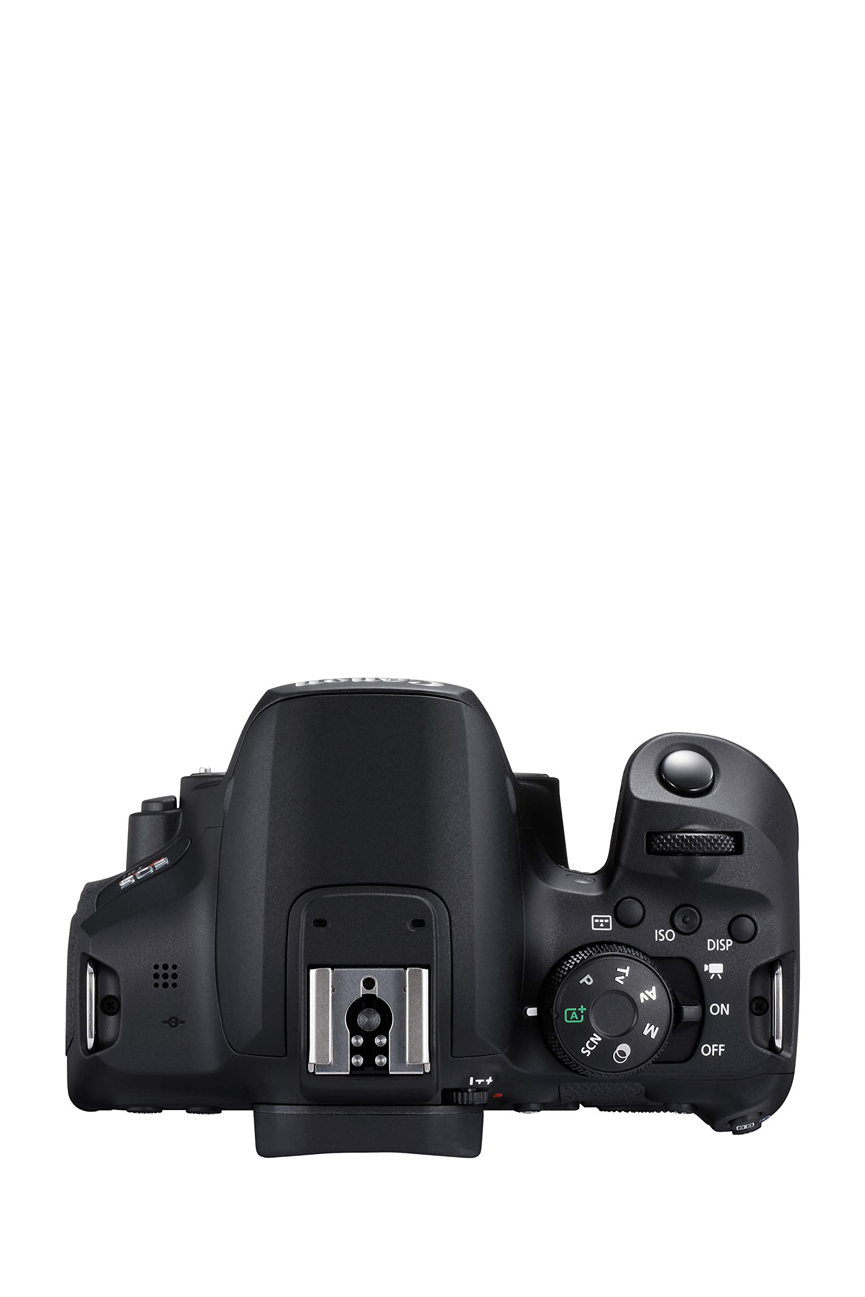 Canon EOS Rebel T8i Body, Black