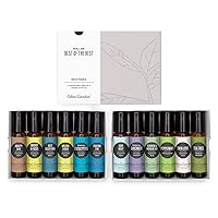 Edens Garden Best of The Best Roll-On Essential Oil 12 Set, 100% Pure Therapeutic Grade (Pre-Diluted & Ready to Use- Starter Kit), 10 ml Roll-On